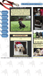 Mobile Screenshot of mountairyretrievers.com